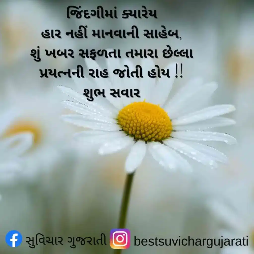 good morning quotes Gujarati